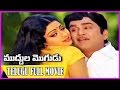 MUDDULA MOGUDU Telugu Full Movie ANR Sridevi Suhasini