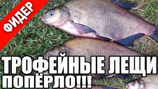 Фидер на озере за крупным лещом