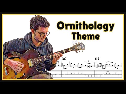Theme Tutorial & Cover | Ornithology | Guitar Cover | TABS On Screen