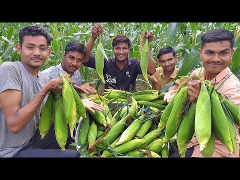 Sweet Corn Chevdo | Sweet Corn Chaat | Village Style Sweet Corn Recipe | Village Rasoi