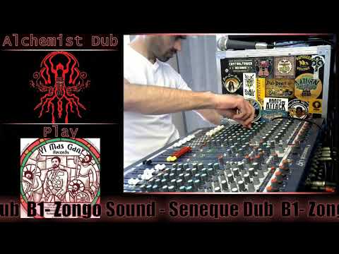 Zongo Sound   Seneque Dub  Yi Mas Gan Records Played By Alchemist Dub