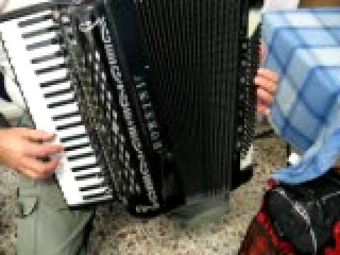 Accordion Fisarmonica Borsini con cassotto PL4117MC in vendita!