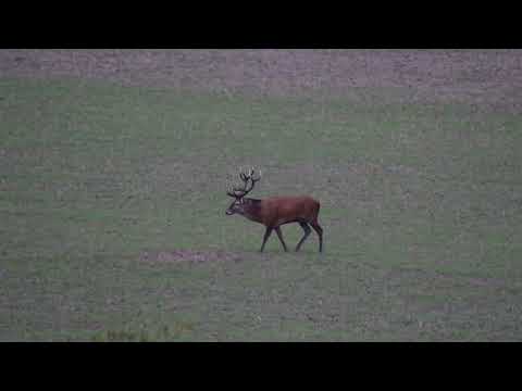 was für ein abend (3)