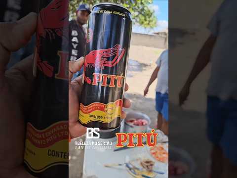 Hoje tem  5° Cavalgada  Grupo CPC  São  Sebastião  Alagoas