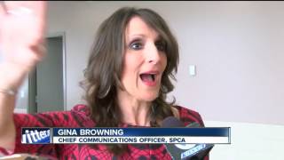 SPCA opens new multi-million dollar shelter