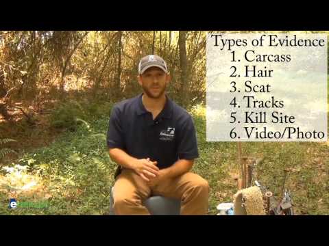 Part 1: Introduction, Using Trail Cameras, & Physical Characteristics