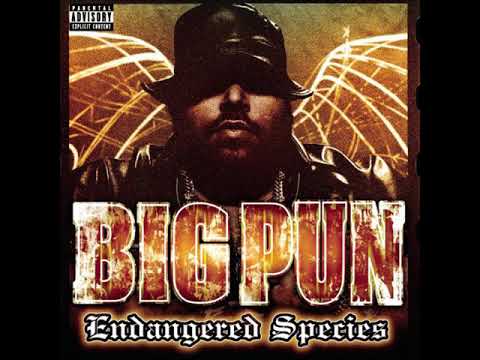 Big Pun - Livin' la Vida Loca (Remix)