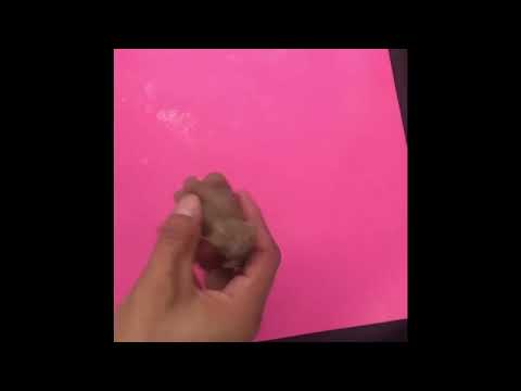 Redxin mold dog for a cute design