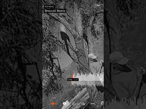 Kid MoxC - Broccoli remix