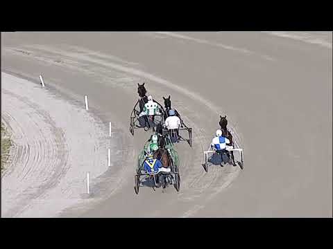 Napoli Trotto 30/12/2025 - 1ª prova di qualifica