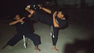 Download lagu Seni Kolosal PAGAR NUSA Gasmi Boloroso mp3