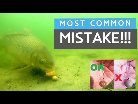 Underwater carp fishing camera / Incorrect vs Correct hair rig