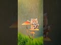 Rain Whatsapp Status Rain Whatsapp Status Video Barish Status Rain Day Nature Whatsapp Status