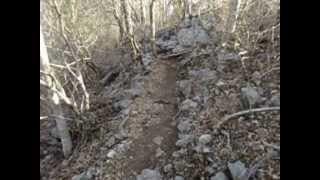 preview picture of video 'Sendero La Roca, Parque Nacional Palo Verde'