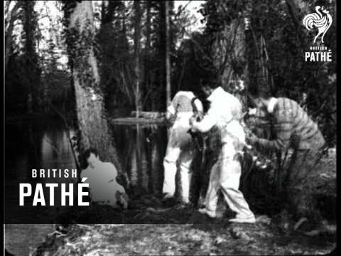 The Stars Off Stage - Jack Hylton And His Band (1926)