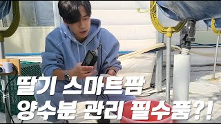 딸기스마트팜 재배 노하우  : 양수분 관리 필수품