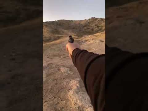 My Ruger GP100 - the Dodge Ram of Revolvers