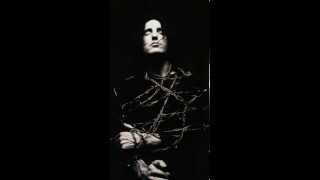 Nine Inch Nails - The Art of Self Destruction, Part One