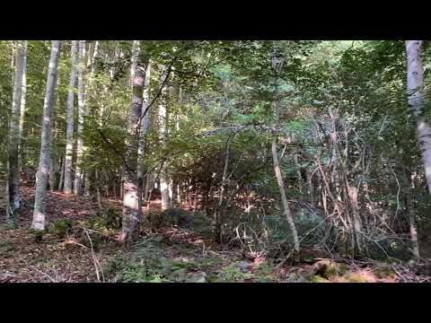 2021-7-19_ Puerto de La Rasa, Muro en Cameros (La Rioja)