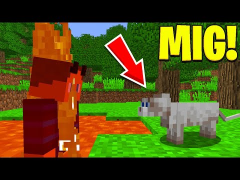 Pranker Judex Som Hans KÆLEDYR I Minecraft!