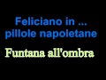 FELICIANO  live in ...FUNTANA ALL'OMBRA