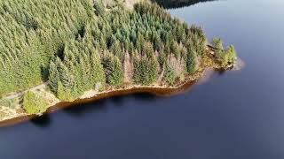 Loch Kennard Griffin forest Perth and Kinross Scotland