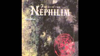 Fields Of The Nephilim - In Every Dream Home A Heartache