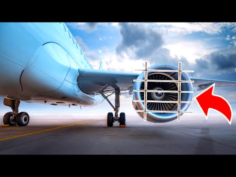 Why Engineers Don't Put Grates In Front of Engines to Prevent Bird Strikes