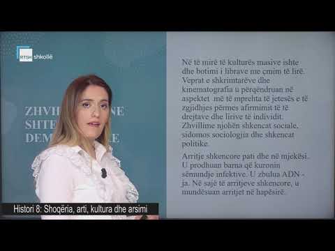 Histori 8 - Shoqëria, arti, kultura dhe arsimi