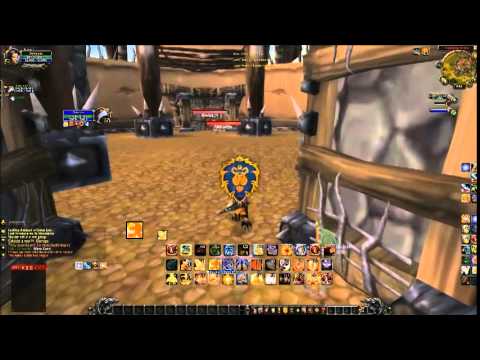 Retribution Paladin PvP 5.4 Arenas