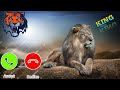 Tiger Attitude Ringtone For All Phones New Calling Ringtones