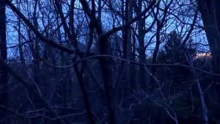 Tommy Swisher - Falling (Concept Music Video)