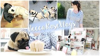 Rupert Meets Nala, Pugs in London & Airbnb Fun! | Becca Rose Vlogs