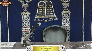 בית המדרש "תורת דוד" ¤ שידור חי ¤ ח' אלול תשפ"ה (1.9.2025) (מוסדות תורת דוד) - התמונה מוצגת ישירות מתוך אתר האינטרנט יוטיוב. זכויות היוצרים בתמונה שייכות ליוצרה. קישור קרדיט למקור התוכן נמצא בתוך דף הסרטון בית המדרש "תורת דוד" ¤ שידור חי ¤ ח' אלול תשפ"ה (1.9.2025) (מוסדות תורת דוד) - התמונה מוצגת ישירות מתוך אתר האינטרנט יוטיוב. זכויות היוצרים בתמונה שייכות ליוצרה. קישור קרדיט למקור התוכן נמצא בתוך דף הסרטון