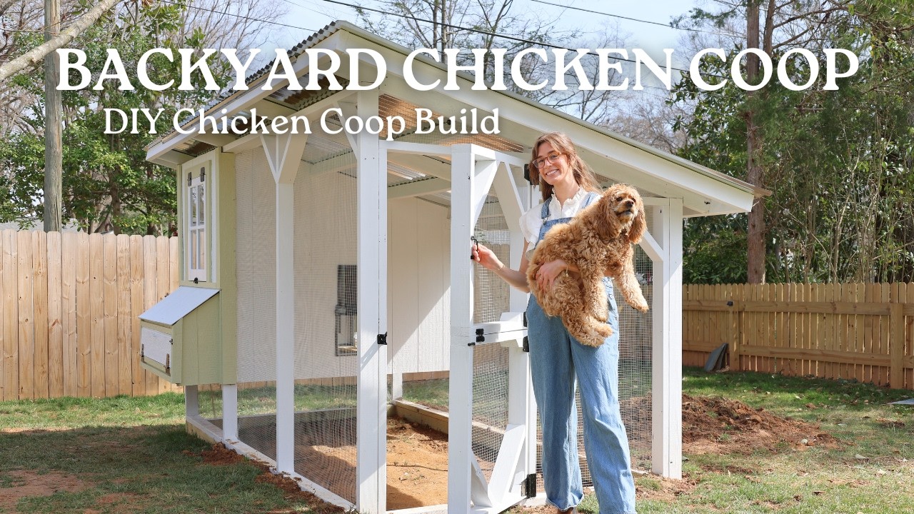 Chicken Coop DIY Build | Perfect for Backyard Chickens