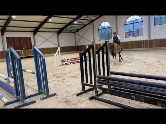 Riding movie at home Exclusive Way Z (Emerald x Cassini I).