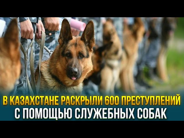 Главные новости 19.02.2024 г.
