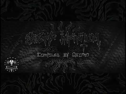 VA ENIGMA INFINITUM 12 - Necroillusion - Tenor Parafisica (240 BPM) by Metacortex Records