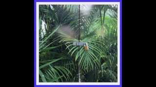 Joe Howe - Wipecycle