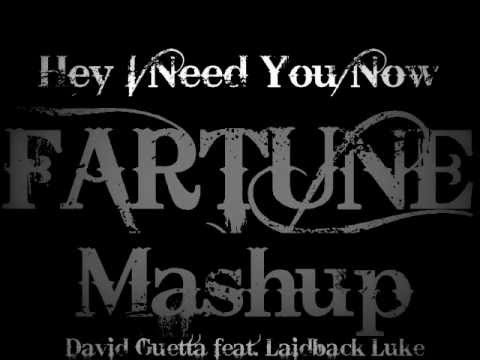 Hey I Need You Now (Fartune Mashup) [David Guetta ft. Laidback Luke]