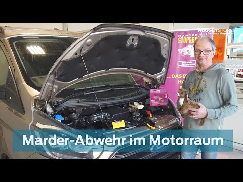 Ford Nugget Zubehör - Marderabwehr im Motorraum