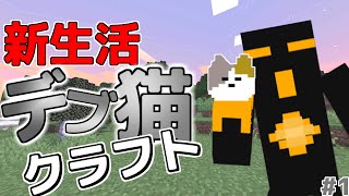 現実で猫飼えないからマイクラでデブ猫飼ってみた【マイクラ実況プレイ】1