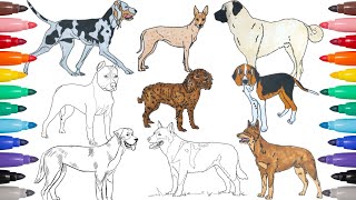 9 Dog Breeds to Color - Coloring Pages