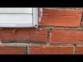 Odorous House Ants Walking Along the Exterior in Sewaren, NJ
