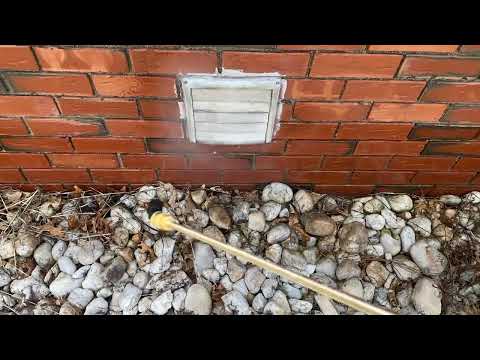 Odorous House Ants Walking Along the Exterior in Sewaren, NJ