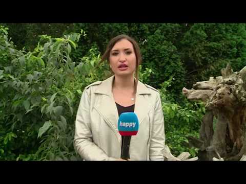 WEB vremenska prognoza - TV Happy - (30.05.2019)