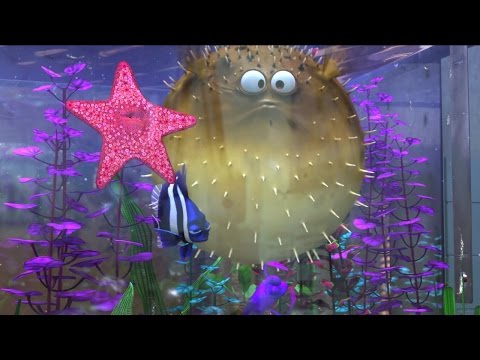 「ファインディング・ニモ」MovieNEX予告編
