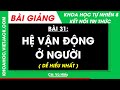 Khoa học tự nhiên 8 Bài 31: Hệ vận động ở người | Kết nối tri thức