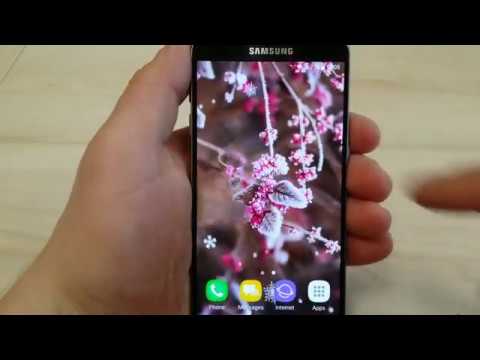 Beautiful Winter Live Wallpape Video