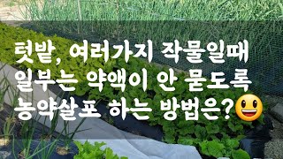 텃밭, 여러가지 작물일때 일부는 약액이 안 묻도록 농약살포 하는 방법?